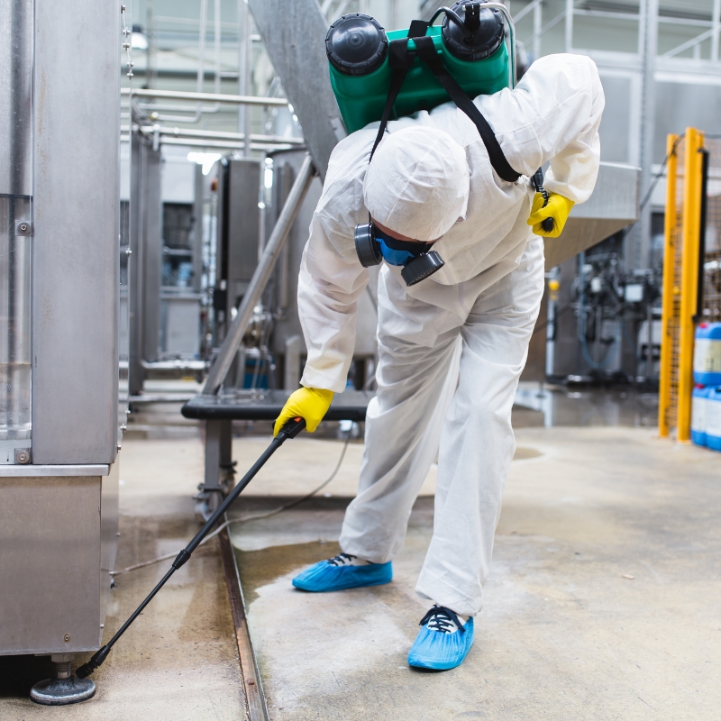 commercial pest control services