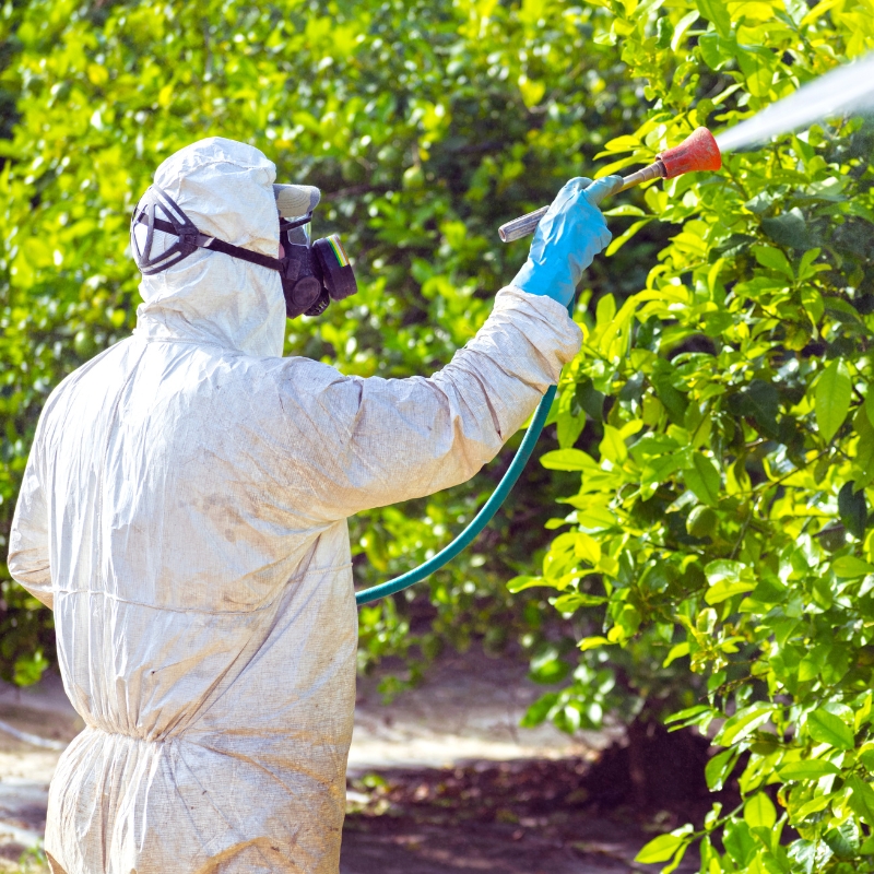 weed spraying services